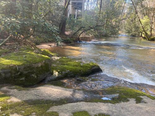a stream of water with green moss on the rocks at Riverside Gardens in Tiger