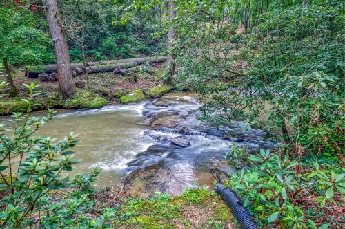 a stream in the middle of a forest at Riverside Gardens in Tiger