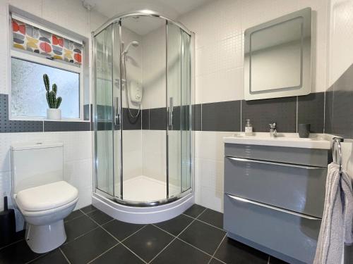 a bathroom with a shower and a toilet and a sink at Merlestead in Applethwaite