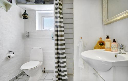 a bathroom with a white toilet and a sink at Cozy Home In Vestervig With Kitchen in Vestervig