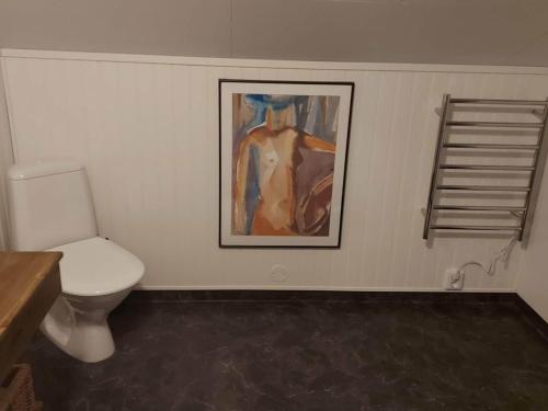 ein Bad mit einem WC und einem Wandgemälde in der Unterkunft Holiday home GRISSLEHAMN XII in Grisslehamn