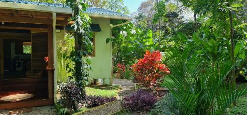 Casa Maloka – Photos 2