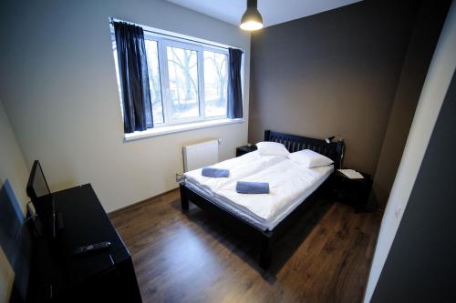 1 dormitorio con cama y ventana en Glūdas Grava en Cēsis