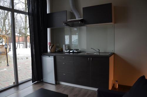 a kitchen with a sink and a counter at Glūdas Grava in Cēsis