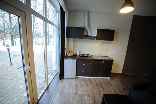 a kitchen with a sink and a refrigerator next to a window at Glūdas Grava in Cēsis