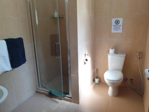 a bathroom with a shower and a toilet and a sink at La Maison Hibiscus Self Catering Accommodation in Beau Vallon