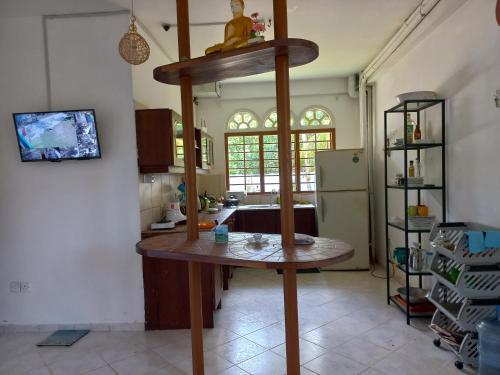 TV a/nebo společenská místnost v ubytování Shanon Lake Villa Surf Lodge