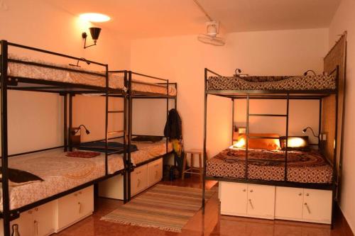 a room with three bunk beds in a room at BE ANIMAL Hostel in Bangalore