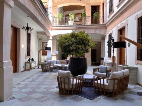 een binnenplaats met stoelen en een potboom in een gebouw bij Nueve 25 Hotel Boutique in Guanajuato
