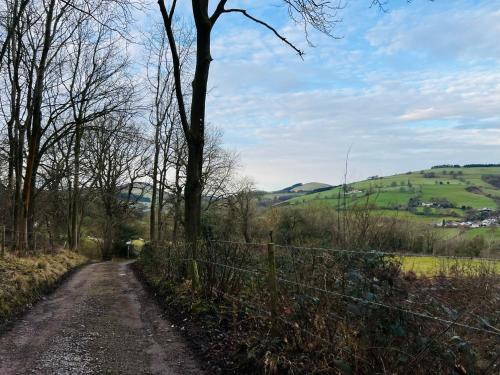 a dirt road with a fence and trees on a hill at Pentre Cerrig Country House in Llanferres