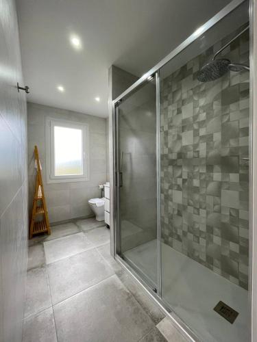 y baño con ducha de cristal y aseo. en Gure Urdaibai by Urdaibai Rentals, en Altamira