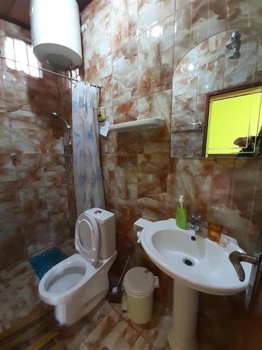 a bathroom with a toilet and a sink at Lodge Du Chateau in Gonder