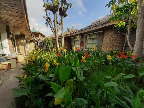 a garden of flowers in front of a house at Lodge Du Chateau in Gonder