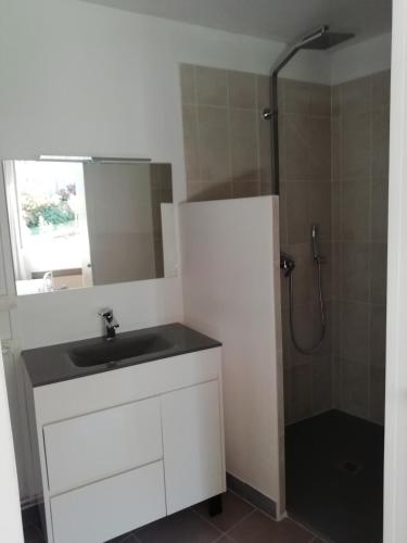 une salle de bain avec un lavabo et une douche dans l'établissement Gîte de caractère, à Thauron