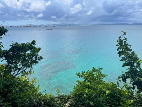 a view of a large body of water with trees at Premium Villa Miyagi Island in Ikei