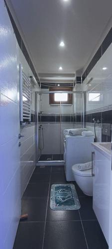 La salle de bains est pourvue d'une douche, de toilettes et d'un lavabo. dans l'établissement Reya Besiktas, à Istanbul