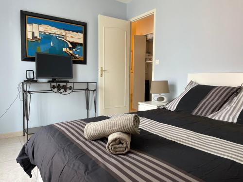 a bedroom with a bed with a television on a table at Verdi 1 in Aix-en-Provence