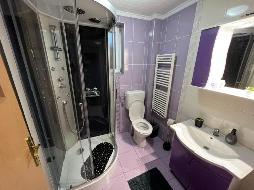 Baño púrpura con aseo y lavamanos en Vila Delia, en Oradea