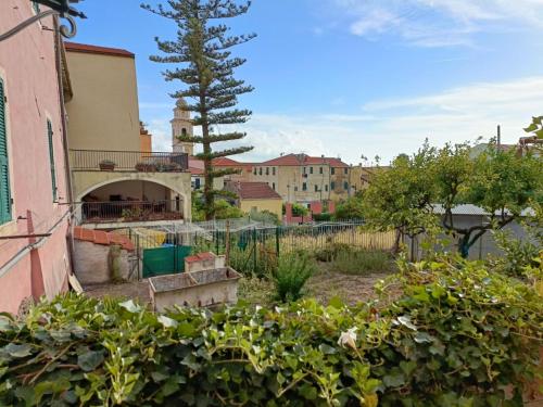 Κήπος έξω από το Casa Ribes