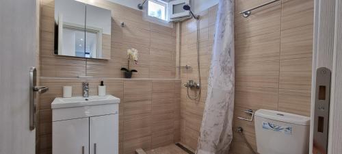 een badkamer met een douche, een wastafel en een toilet bij Cristina Studio Apartment in Póros