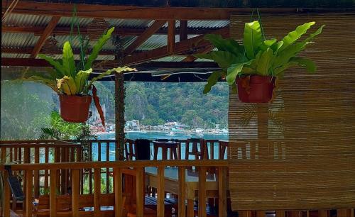 twee potplanten hangen aan een houten muur bij BaleCabugaoCottagesRental in El Nido