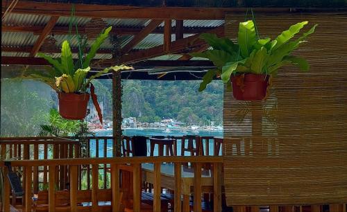 two potted plants are hanging from a wooden wall at BaleCabugaoCottagesRental in El Nido