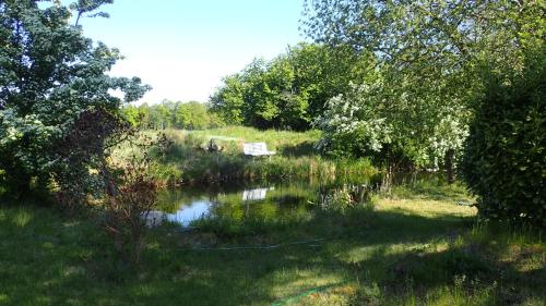 a bench sitting in the grass next to a river at Gemütliche Ferienwohnung in hirschreicher Umgebung in Jasnitz