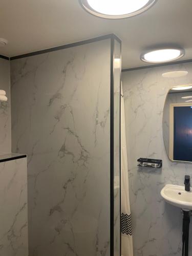 a bathroom with a shower and a sink and a mirror at Valkenhof in Valkenburg