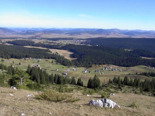 Příroda nedaleko apartmánu