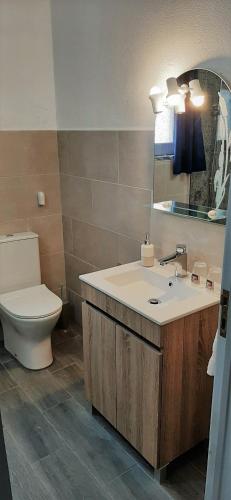 a bathroom with a sink and a toilet and a mirror at Casa Coloridos in Óbidos
