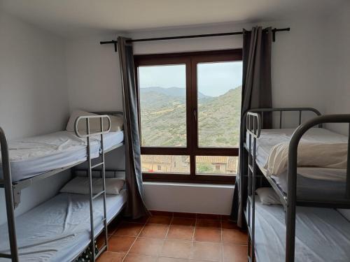 a room with two bunk beds and a window at Albergue de Sos del Rey Católico in Sos del Rey Católico