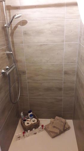 a bathroom with a shower with a basket on the floor at Apartement Unten im Dorf 