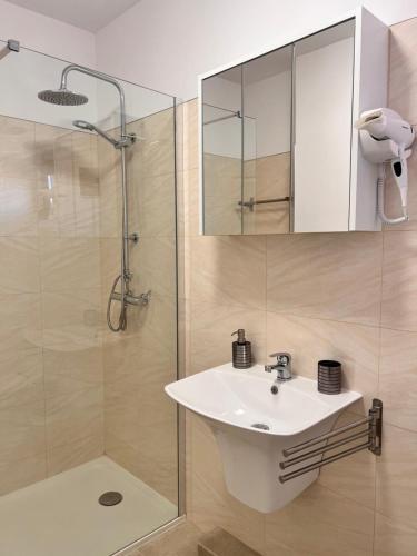 a bathroom with a sink and a shower at Agropensiunea Vila Cristina in Niculiţel
