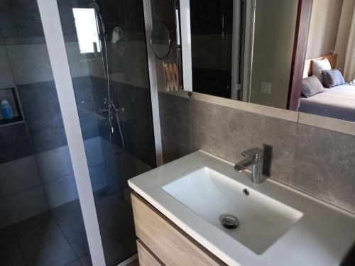 a bathroom with a sink and a shower and a mirror at Beachfront Villa by M&H in Tamarin