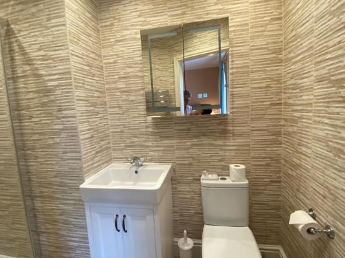 a bathroom with a sink and a toilet and a mirror at Chester House Guest House in Chester
