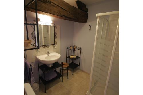 a bathroom with a sink and a mirror and a shower at La Parenthèse in Saint-Genix-sur-Guiers