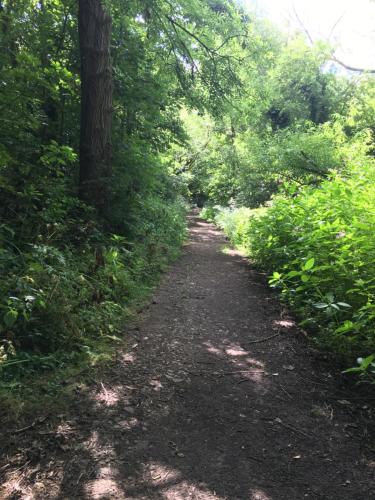 a dirt trail in a wooded area with trees at White House Barn, near Yarm / Stockton-on-Tees in Yarm