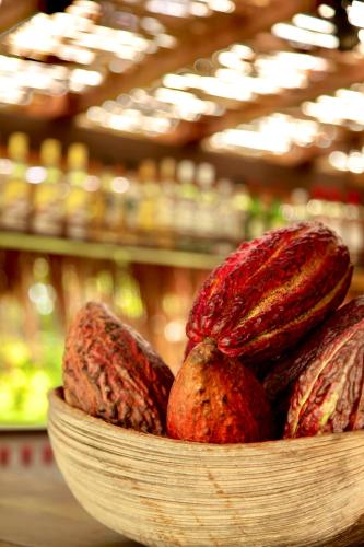 a wooden bowl of nuts in a bowlasteryasteryasteryasteryasteryasteryasteryastery at Aldeia do Mar Sensorial Hotel in Itacaré