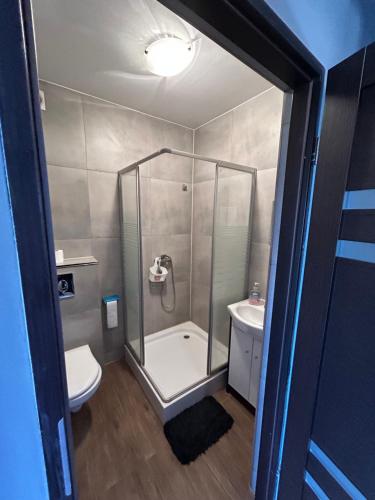 a bathroom with a shower and a toilet and a sink at Hacjenda in Łuszczewo