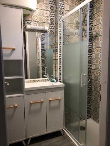 une salle de bain avec un lavabo et une douche dans l'établissement Charmant cottage dans domaine privé, à Signy-le-Petit