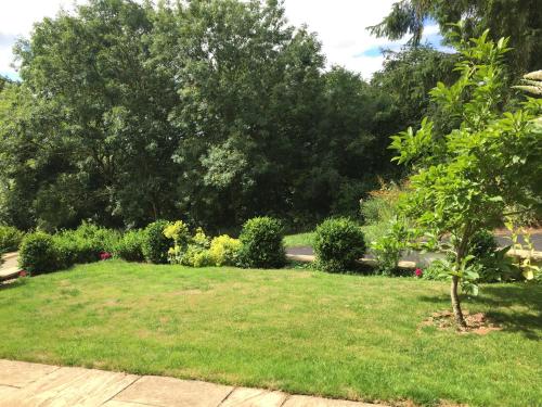 a yard with a lawn with trees and bushes at White House Barn, near Yarm / Stockton-on-Tees in Yarm