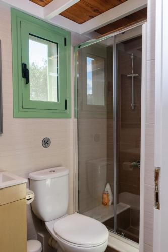 a bathroom with a toilet and a glass shower at Eleni's House in Asopós