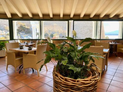 ホテル ベルヴェデーレにあるレストランまたは飲食店