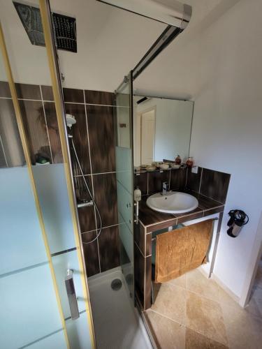 La salle de bains est pourvue d'un lavabo et d'une douche. dans l'établissement Maison dans la Provence Verte, à Cotignac