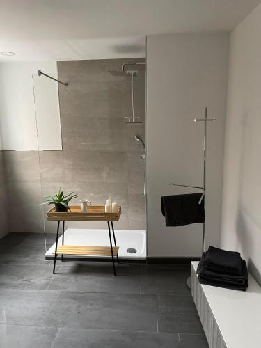 a bathroom with a shower and a table and a tub at Propeller Gästehaus OG in Eppingen
