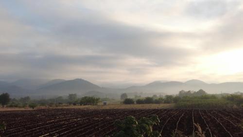 a farm field with mountains in the background at ณ กาญโฮม NaKan Home in Ban Hin Hak