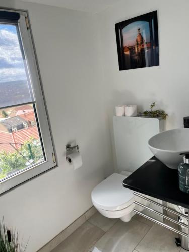 ピルナにあるDas Ferienhaus mit Aussichtのバスルーム(トイレ、洗面台付)、窓が備わります。