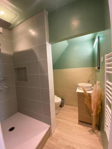 uma casa de banho com um chuveiro, um WC e um lavatório. em Maison de village -Luberon - Villelaure em Villelaure