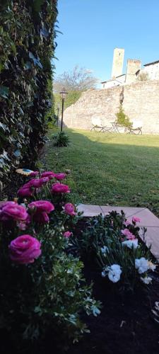 a group of pink and white flowers on the grass at Domus Fontis Pescaia in Spoleto