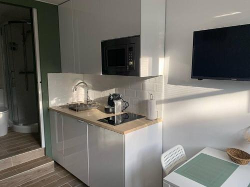 une petite cuisine avec un évier et un micro-ondes dans l'établissement Charmante studette au cœur du Plessis Robinson, au Plessis-Robinson